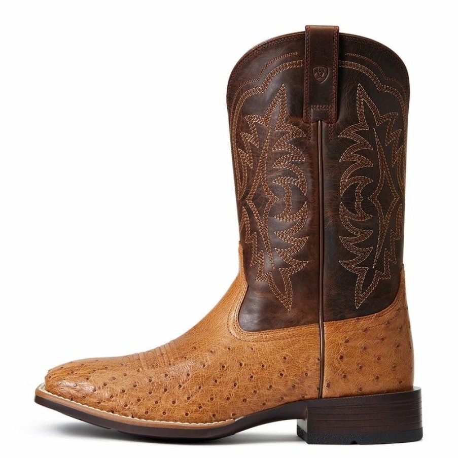 Cowboy * | Ariat' Men'S 11 Night Life Ultra Western Square Toe Ranger Smooth Quill Ostrich / Beam Brown