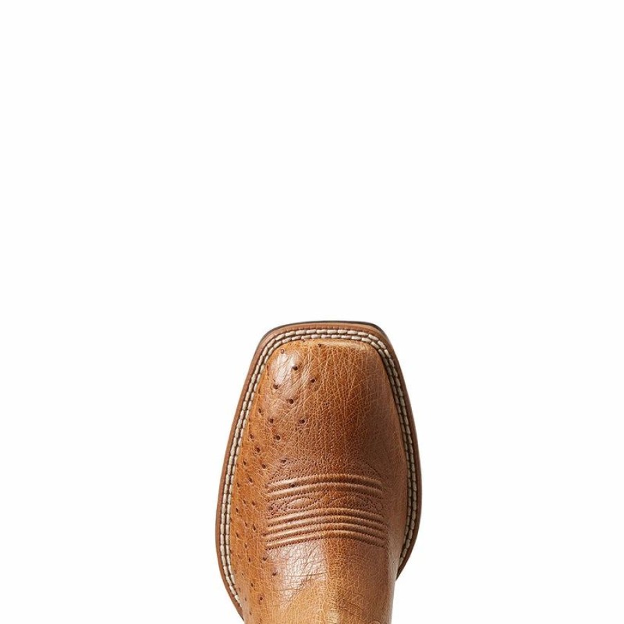 Cowboy * | Ariat' Men'S 11 Night Life Ultra Western Square Toe Ranger Smooth Quill Ostrich / Beam Brown